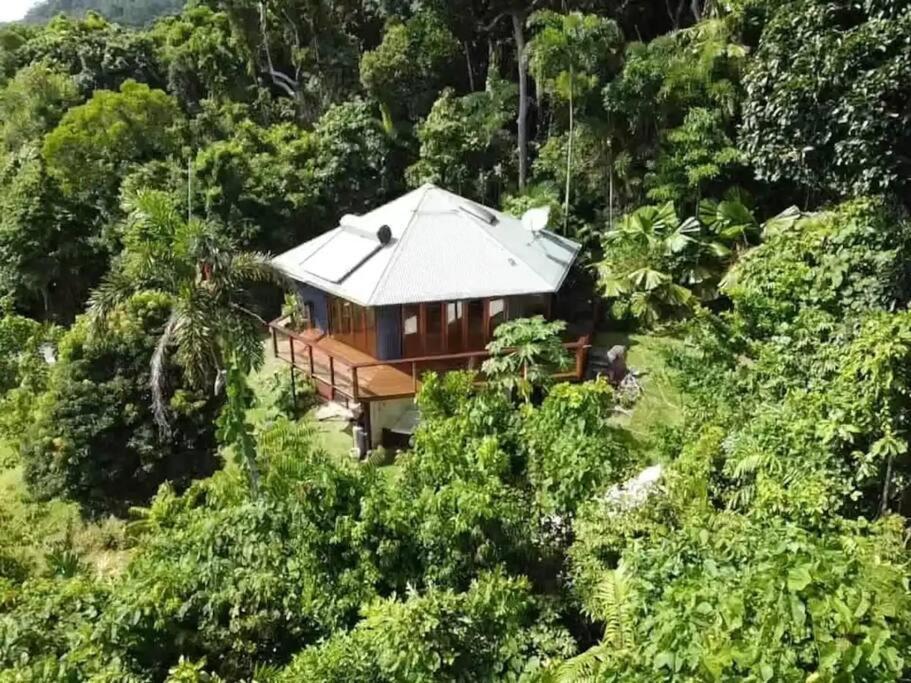 Treeverb Beach House - Daintree Cow Bay Экстерьер фото